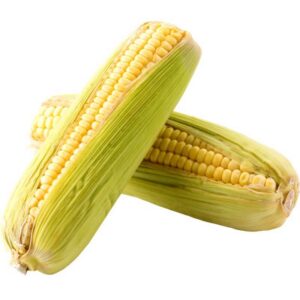 Organic Corn